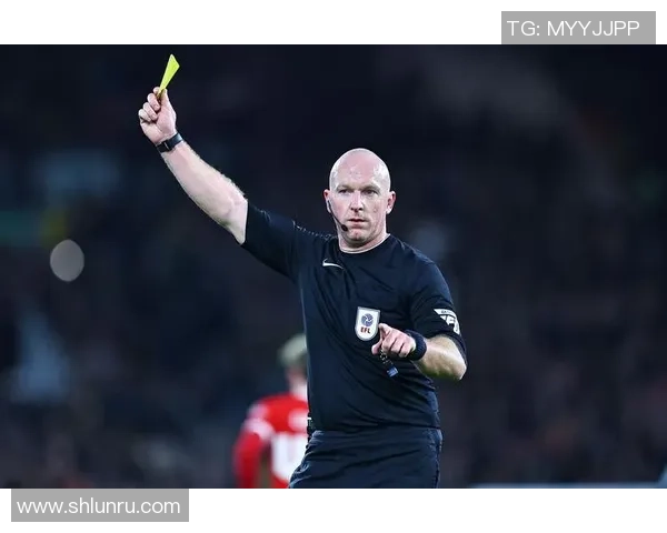 欧洲著名足球裁判被捕涉嫌加入多起谋杀案有组织犯罪集团 欧洲著名足球裁判被捕涉嫌加入多起谋杀案有组织犯罪集团